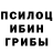 Псилоцибиновые грибы прущие грибы Kamran Bhat