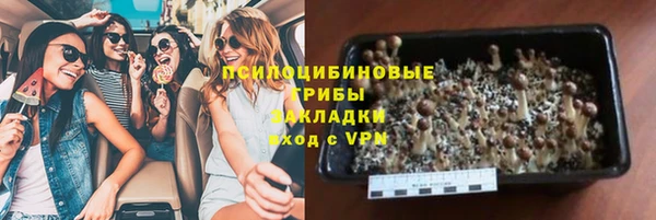 кокс Алзамай