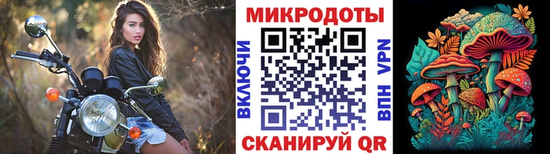 купить наркотик  Кола  Галлюциногенные грибы Psilocybe 
